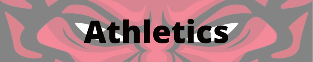 Update on LHS VHSL Sports